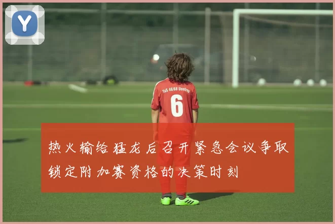 热火输给猛龙后召开紧急会议争取锁定附加赛资格的决策时刻
